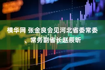 横华网 张金良会见河北省委常委、常务副省长赵辰昕