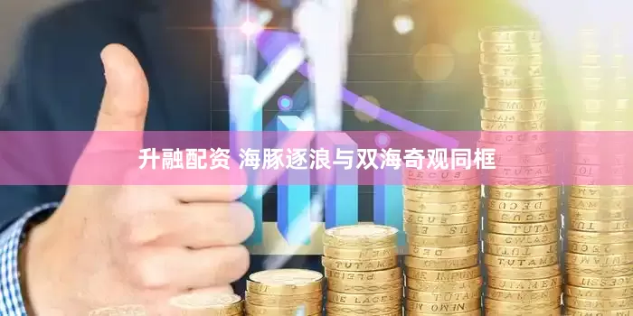 升融配资 海豚逐浪与双海奇观同框