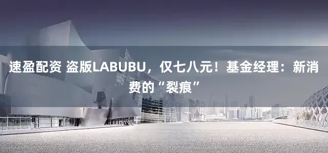速盈配资 盗版LABUBU，仅七八元！基金经理：新消费的“裂痕”